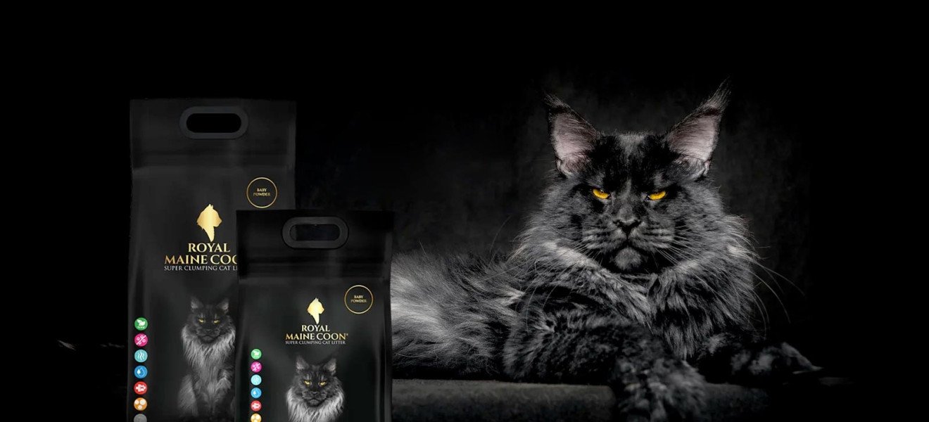 Royal Maine Coon Cat Litters