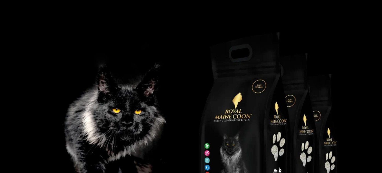 Royal Maine Coon Cat Litters